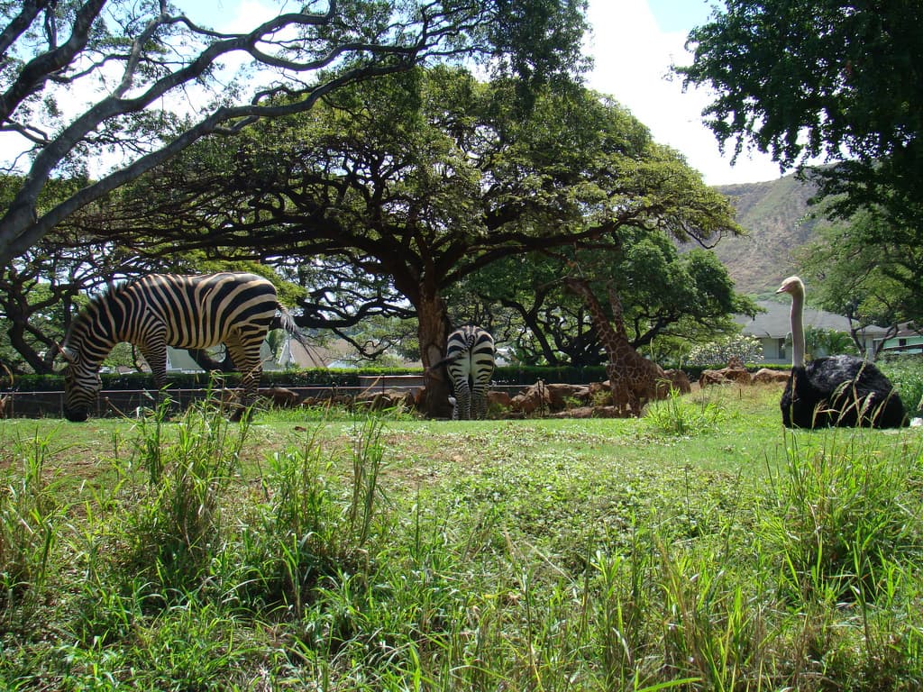 exhibits Picture
